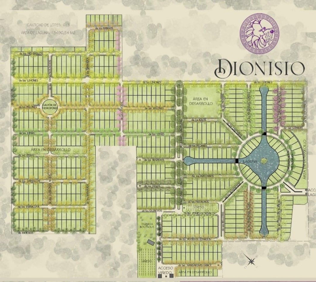 VENTA LOTE TERRENO EN DIONISIO APTO PARA ESCRITURAR MARIANO ACOSTA