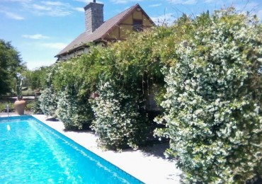 VENTA CAMPO 26,5 HECTAREAS CON CASA 6 AMBIENTES CON CASA DE HUESPEDES CASTELLI BS AS